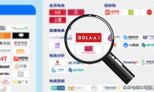 博拉網絡 以多項數字化服務領先優勢，榮登中國數字營銷生態圖